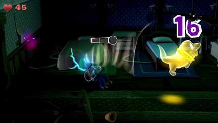 ベッドルームのオバ犬