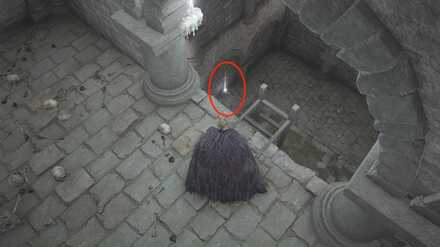 霊姿すずらんの大輪