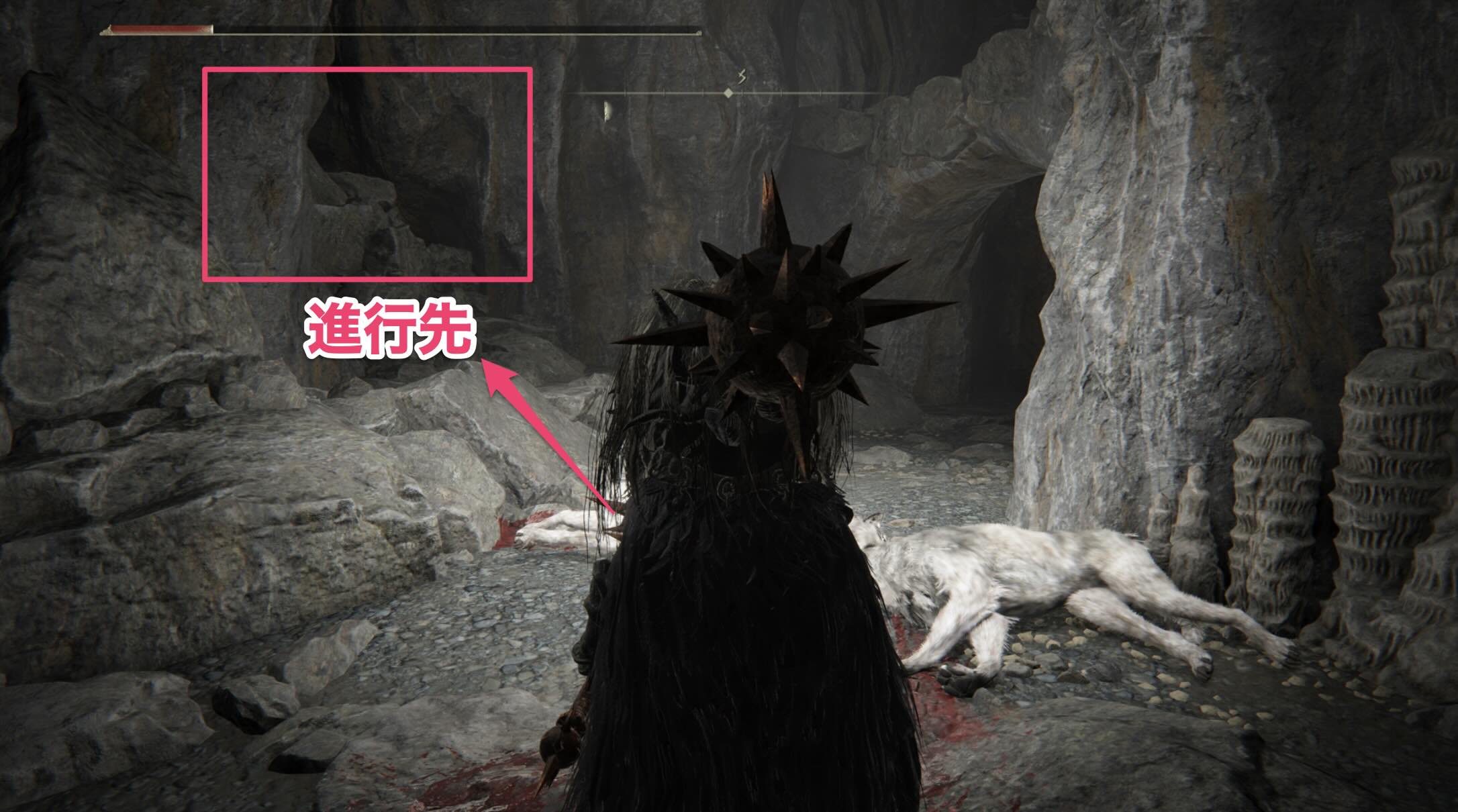 左奥の登れるところから先へ