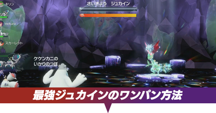 最強ジュカインレイドのワンパン方法・周回編成