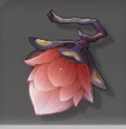 えんじゃくか画像