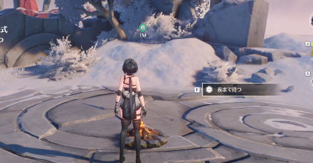 焚き火で夜まで待つ