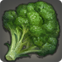 ブロッコリーの画像