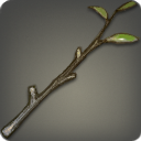 ゴールデンブッシュの画像