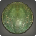 レッサーアポリオンの甲殻の画像