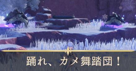 踊れ、カメ舞踏団！