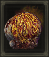 膨れたブドウ画像