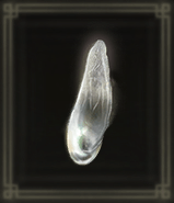 真珠色のウロコ画像