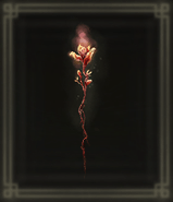 神血の木の芽画像