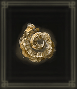 黄金の角貨画像