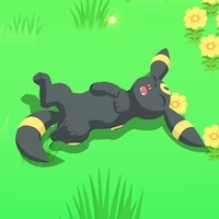 ブラッキーの星3寝顔画像