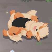 ウインディの星3寝顔画像