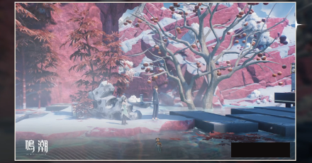 木の写真を撮る