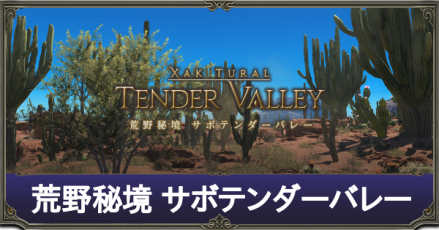 荒野秘境 サボテンダーバレー