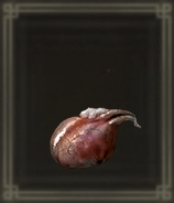 サソリの肝画像