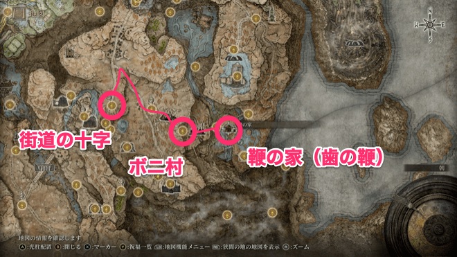 歯の鞭の入手場所