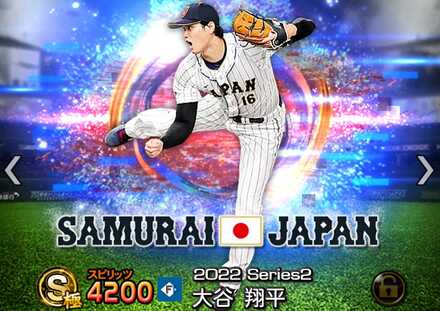 極のSランク選手