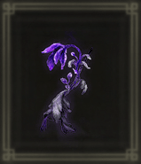 蜜血の木の芽画像