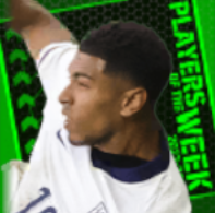 TPジュードベリンガム(07/04)画像