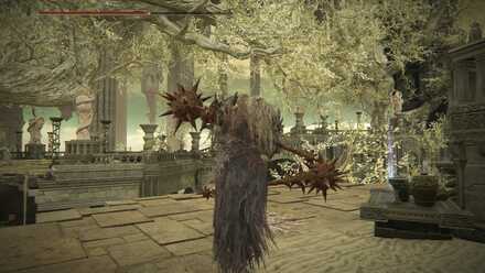 スピラ入手場所