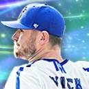 ウィックの画像