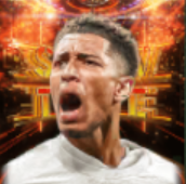 STジュードベリンガム(07/08)画像