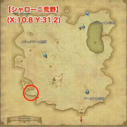 ノパルフラワーの画像