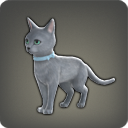 [ブルーキャット