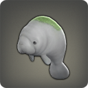 [プチプヌティー