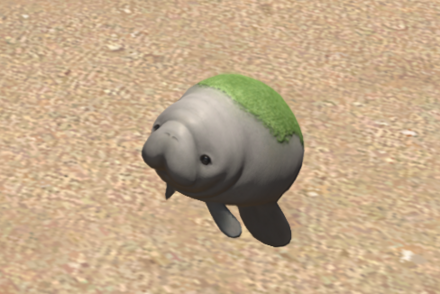 プチプヌティー