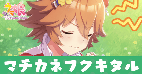 ［お守りパワーで福徳円満！］マチカネフクキタルのアイキャッチ画像