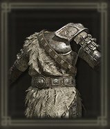 神獣戦士の鎧画像