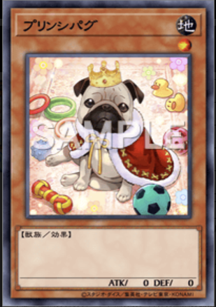 プリンシパグ画像