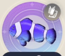 サマータイムフィッシュの画像