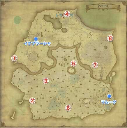 ヤクテル樹海g17