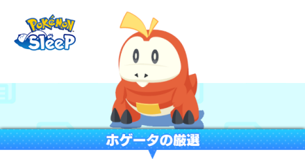 ホゲータの厳選