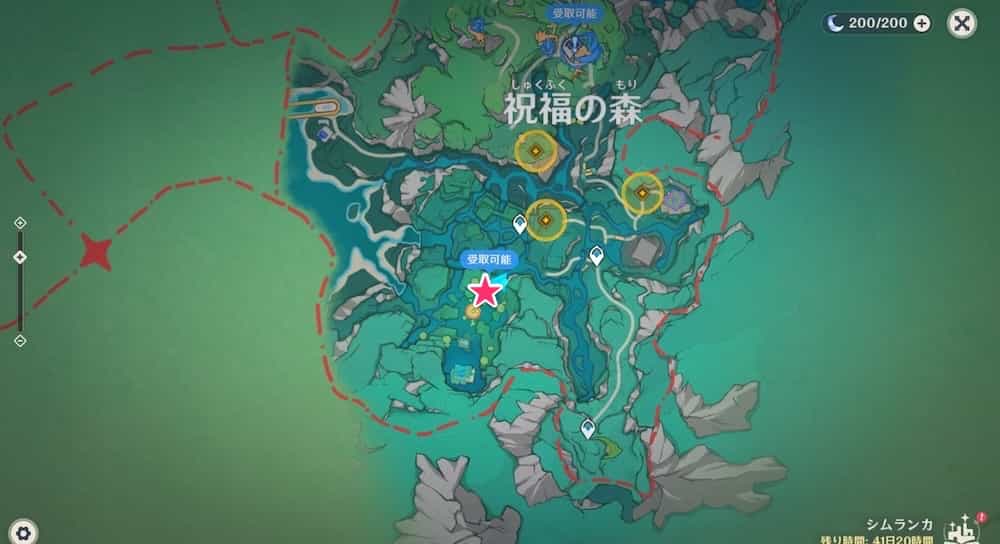 ハスの葉とチャンピオンの場所