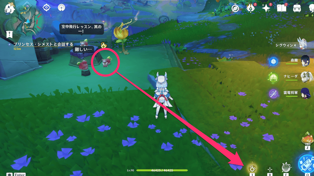 モモンガの空中冒険1