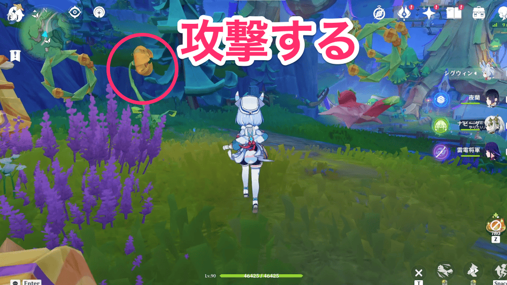 モモンガの空中冒険3