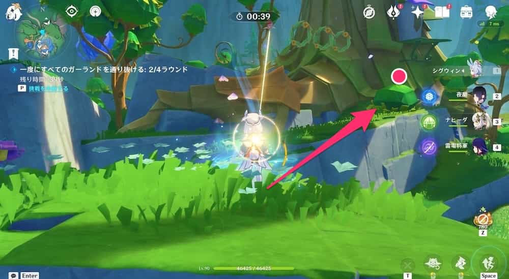 モモンガの空中冒険4