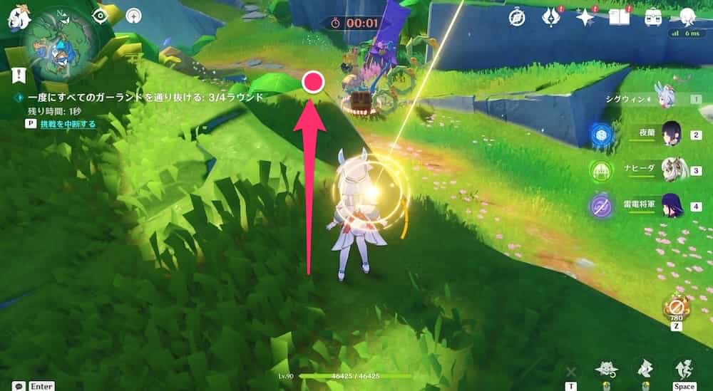 モモンガの空中冒険4