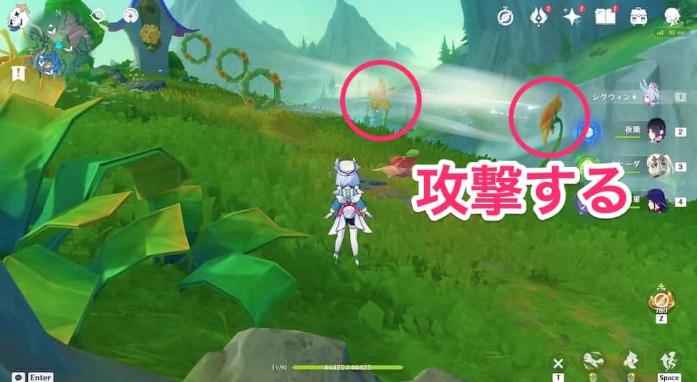 モモンガの空中冒険5