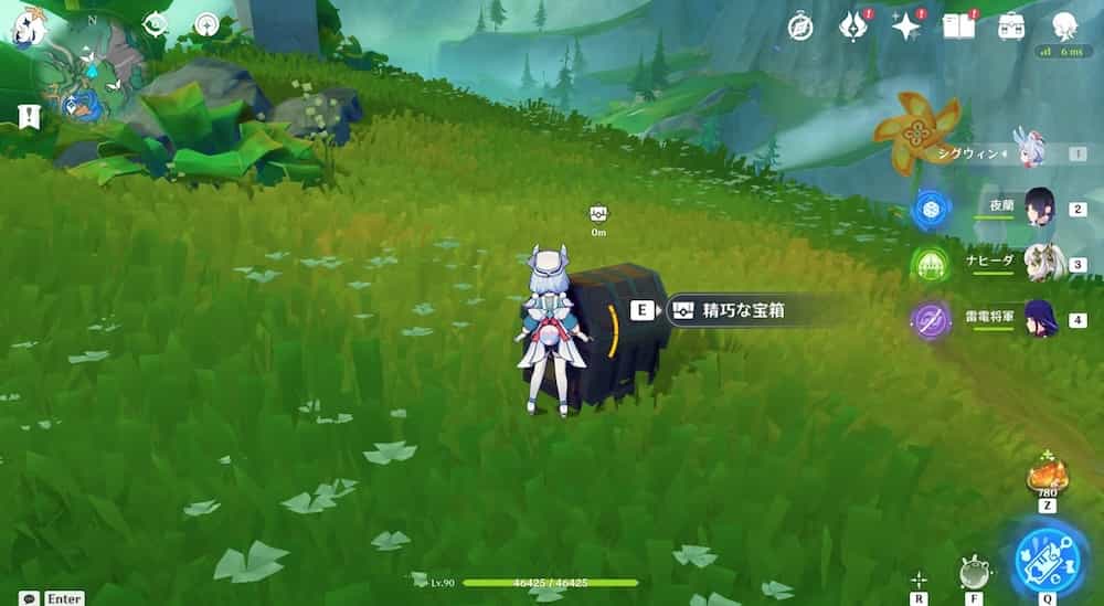 モモンガの空中冒険5