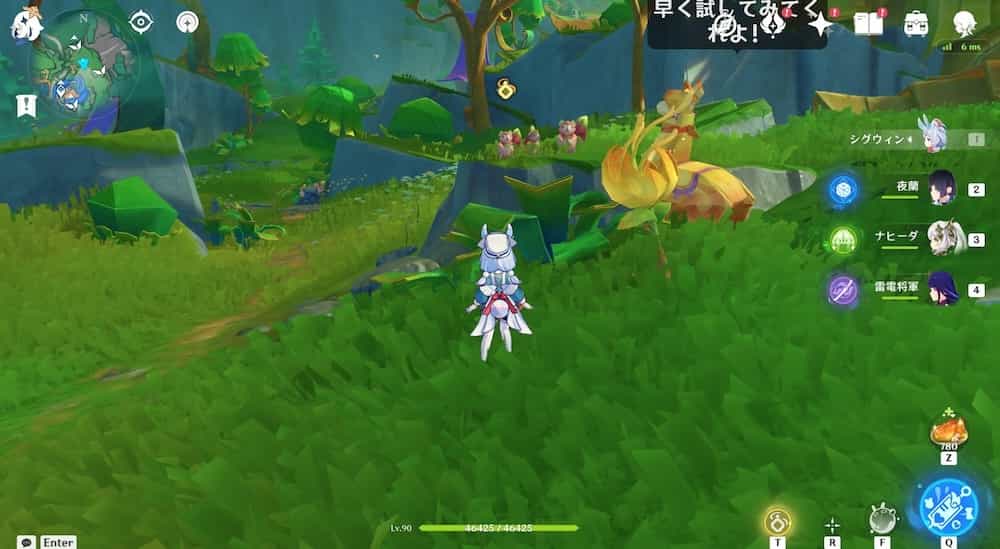 モモンガの空中冒険5