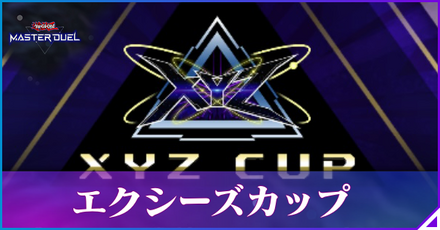 エクシーズカップ