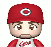 レイノルズ画像