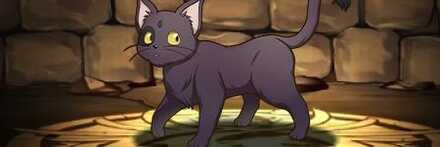 【11384】黒猫アーサー