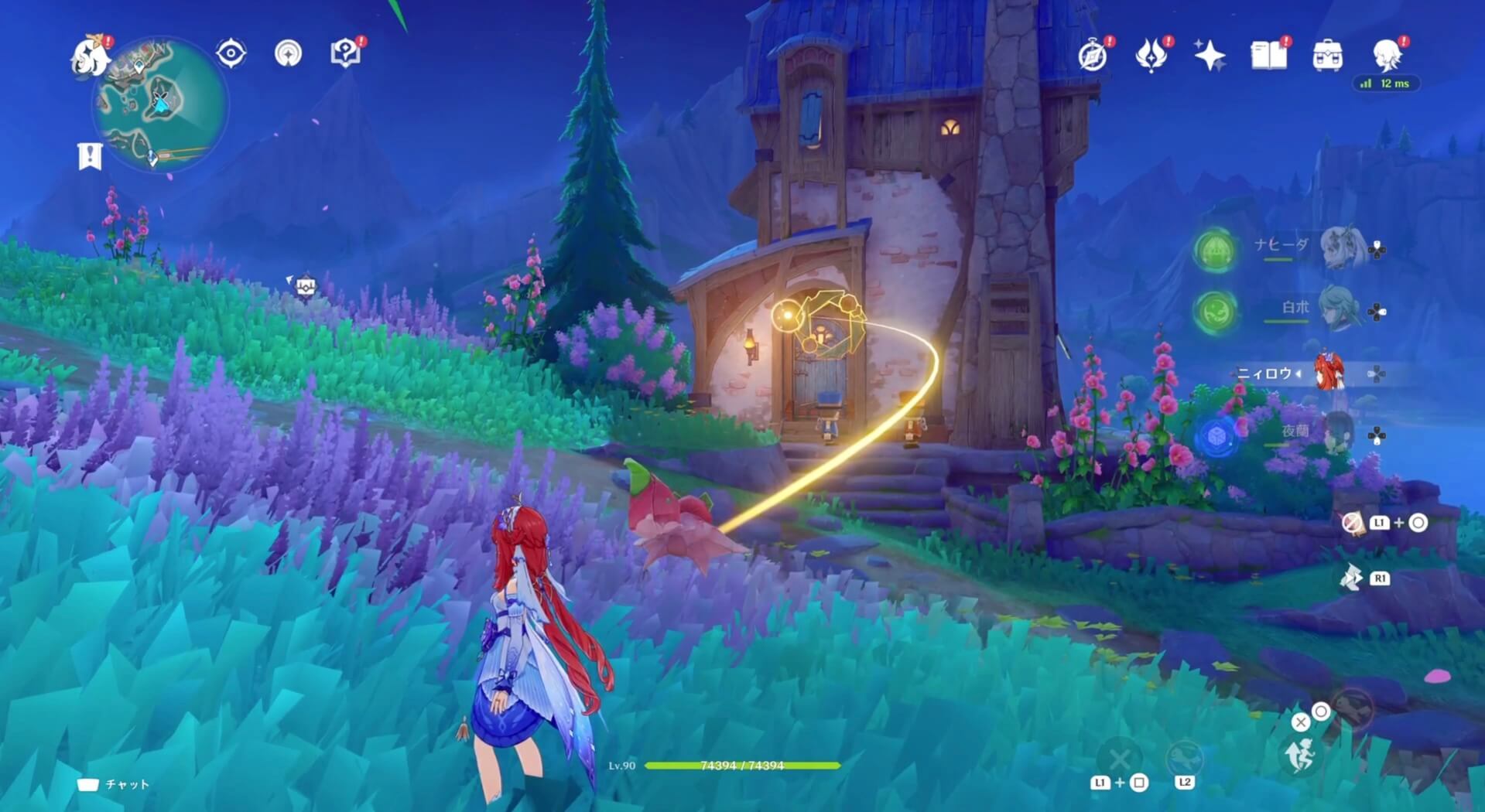 モモンガの空中冒険10