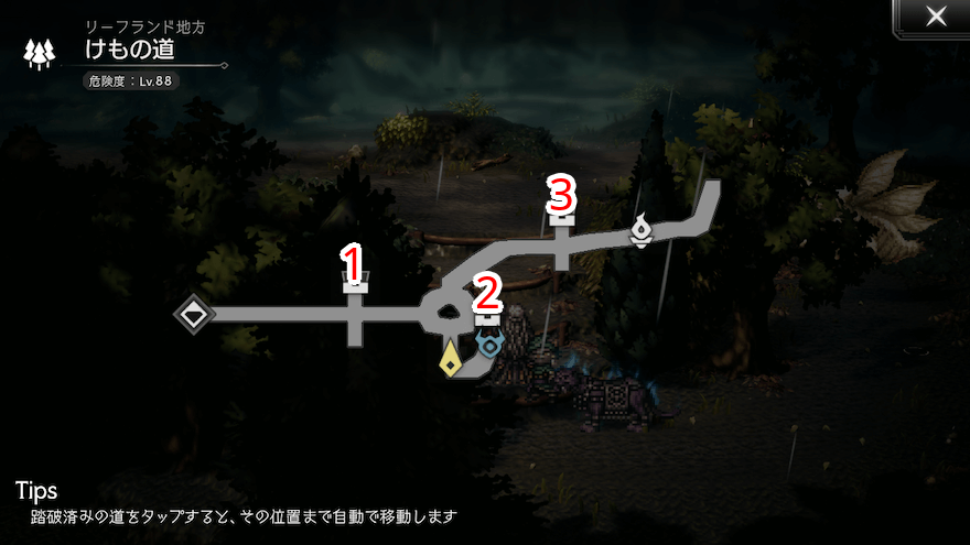 けもの道 宝箱 位置