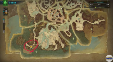 モンハンワールド古代樹の森マップの画像